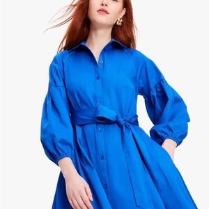 Kate Spade Vibrant Blue Long Sleeve Dress